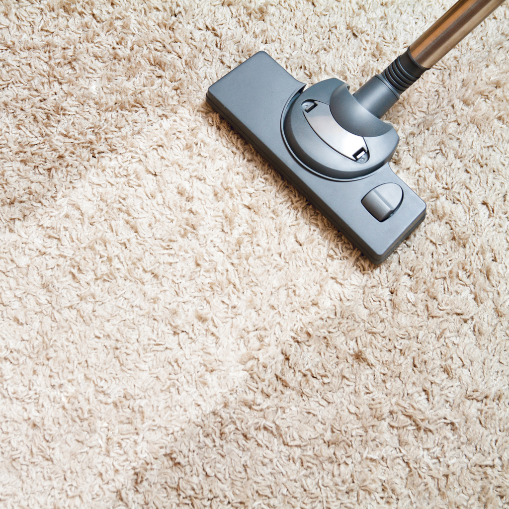 Ultimate Guide for Caring and Cleaning Your Wool Carpet